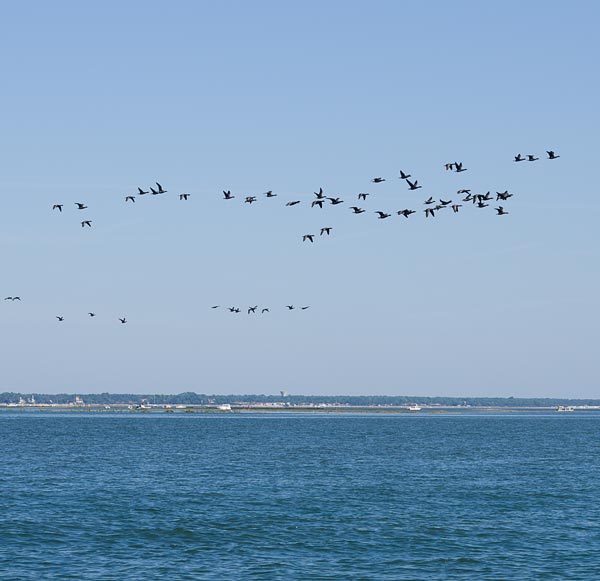 Tourisme en Sud-Gironde à proximité de Cérons