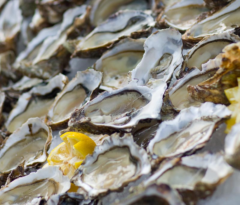 Table d'hôtes à Cérons en Gironde