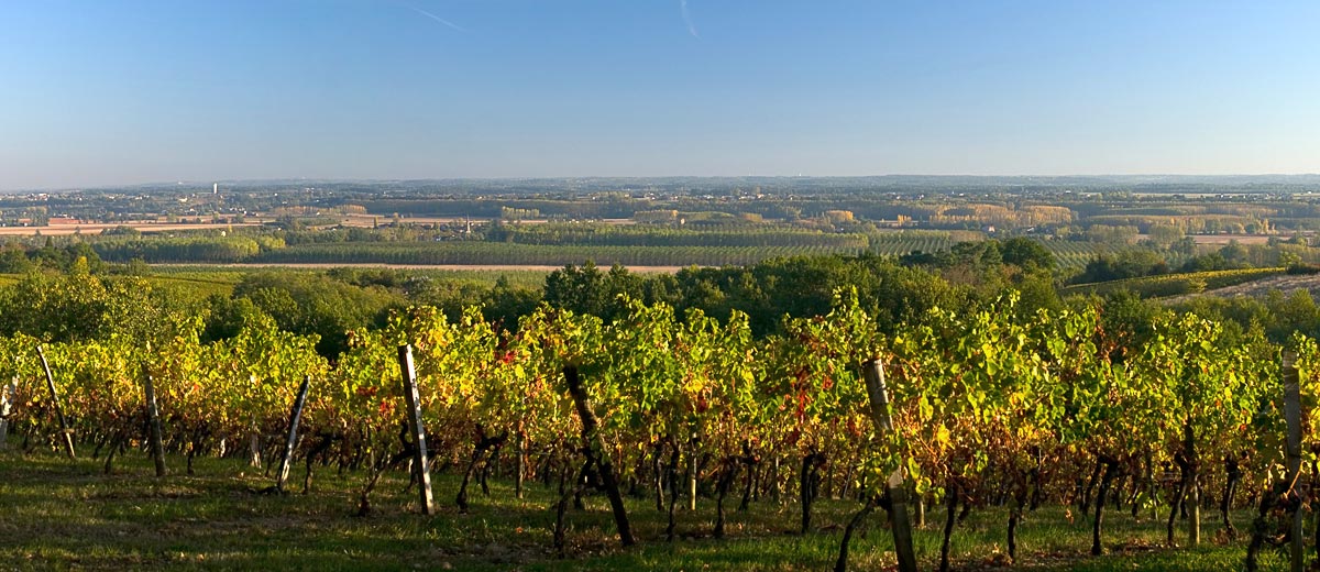 Découvrir Cérons, le Sud-Gironde et ses environs